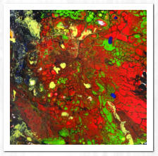 Acryl  /  Acrylic Pouring  /  Swipe-Technik