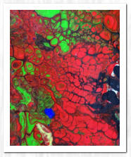 Acryl  /  Acrylic Pouring  /  Swipe-Technik