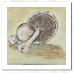 Acryl