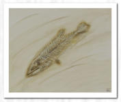 Acryl  /  Spachtelmasse