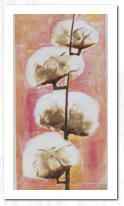 Acryl  /  Wildhaare  /  Spritztechnik