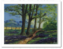 Acryl