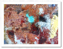 Acryl  /  Blattgold  /  Acryl-Malgel  /  Spachtelmasse grob