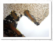 Acryl  /  Echtrost  /  Sprenkeltechnik