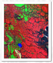 Acryl  /  Acrylic Pouring  /  Swipe-Technik