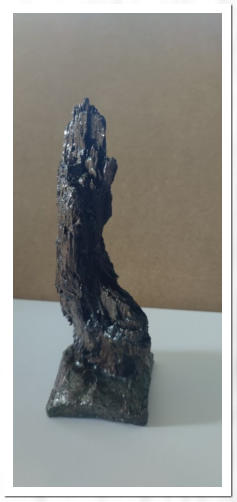 Lackiertes Fundholz mit Gußbetonsockel
