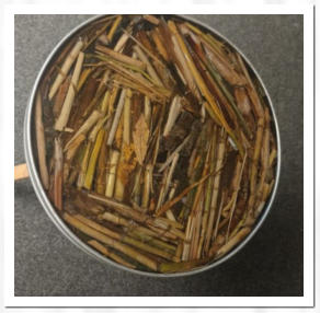 Am Elbstrand gesammeltes Allerlei in Epoxidharz