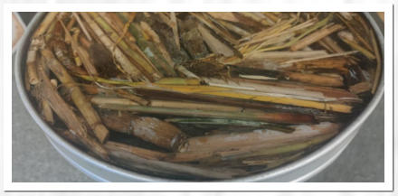 Am Elbstrand gesammeltes Allerlei in Epoxidharz